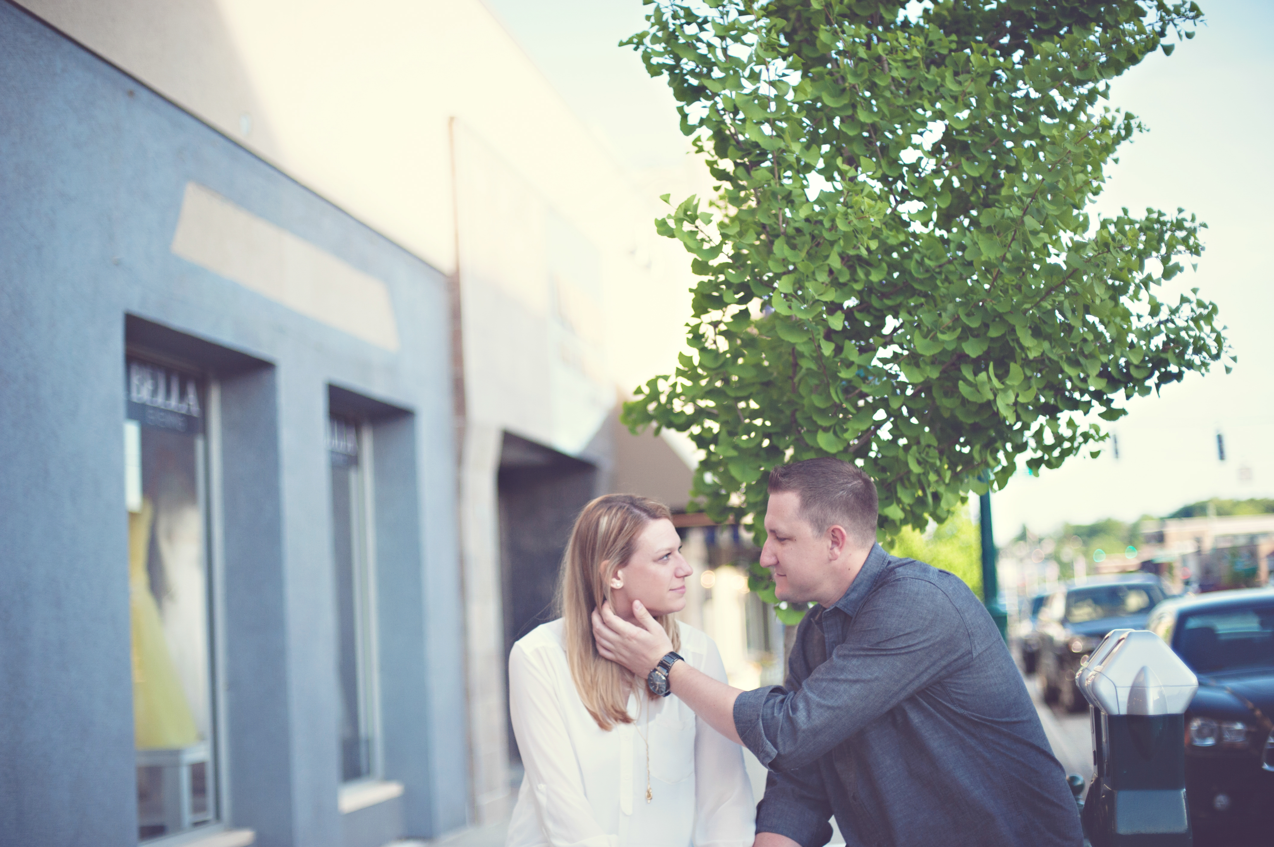 rochester michigan engagement