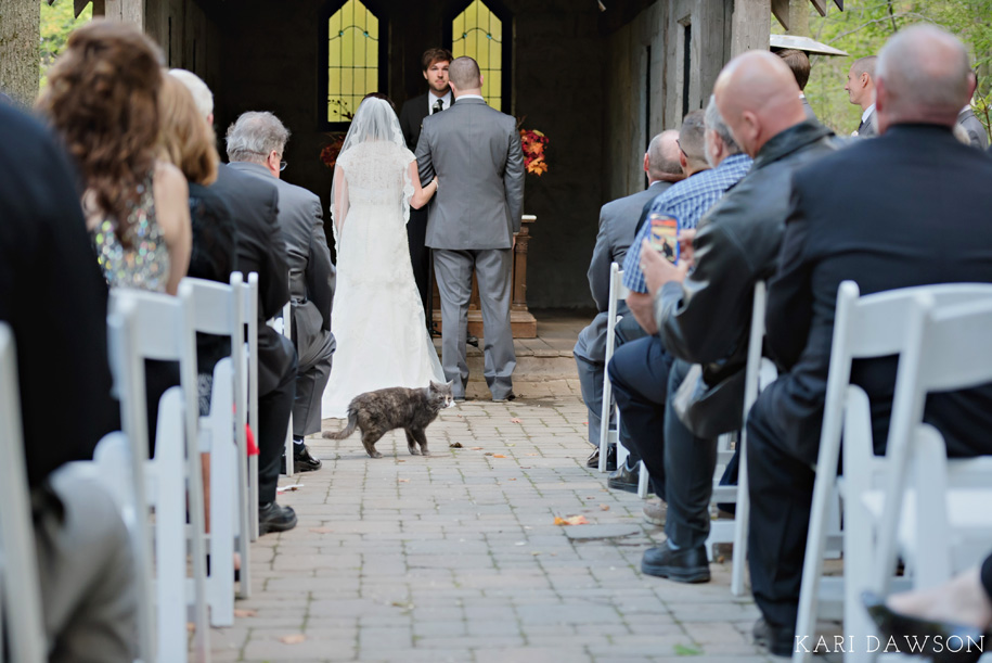 String Lights for an Outdoor Ceremony and a Cat that  joined the Celebration l Rustic and Romantic Outdoor Inner Circle Estate Wedding in the Woods by Kari Dawson
