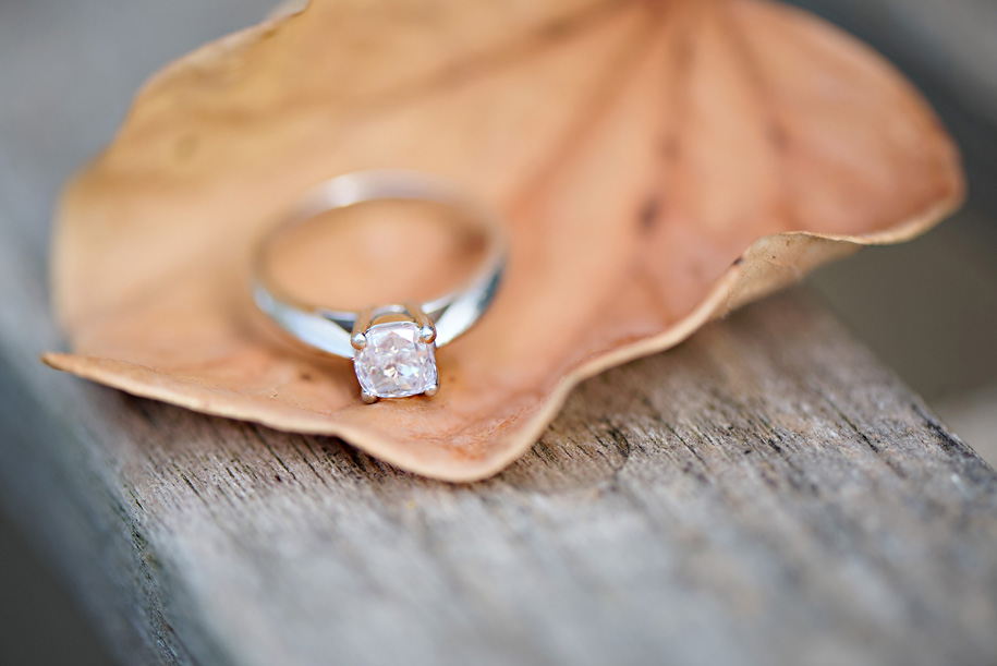 A fall Arboretum engagement in the woods just off of the University of Michigan campus by Kari Dawson Photography