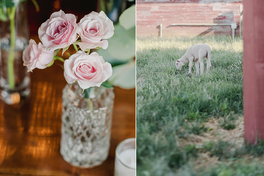 the valley at frutig farms outdoor barn wedding109