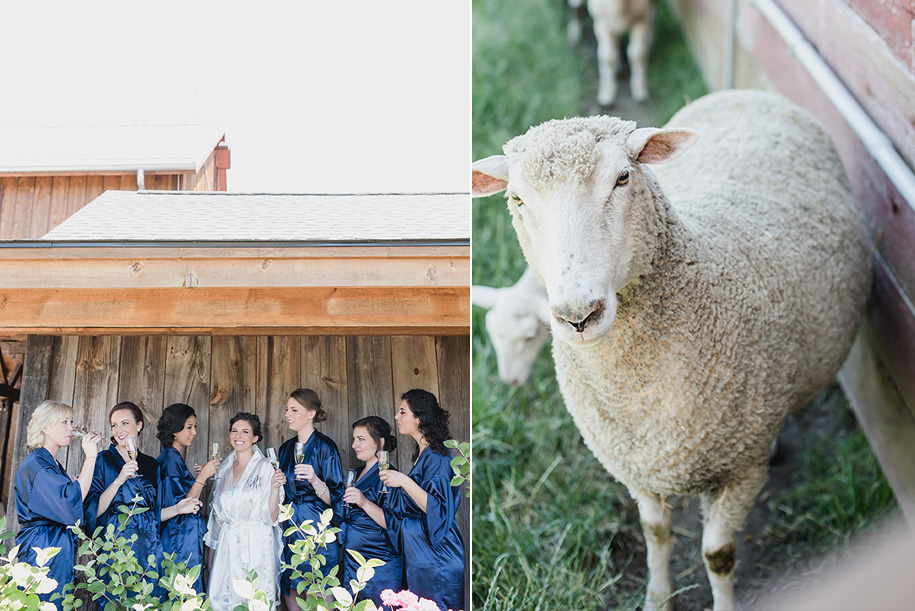 the valley at frutig farms outdoor barn wedding6