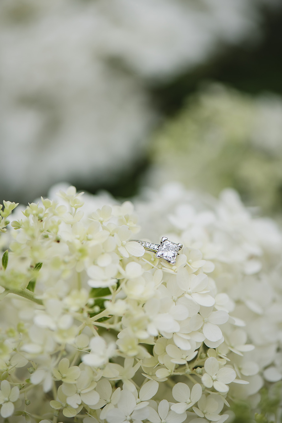 Michigan State University Engagement Photos26