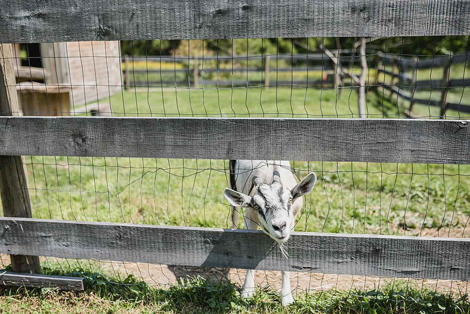 Michigan Outdoor Farm Wedding24