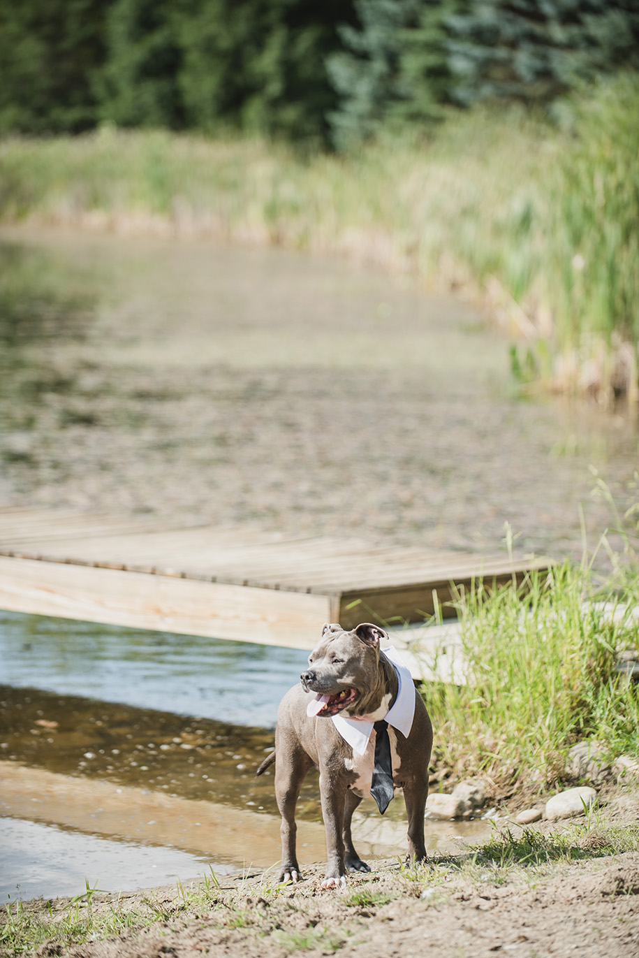 Michigan Outdoor Farm Wedding53a