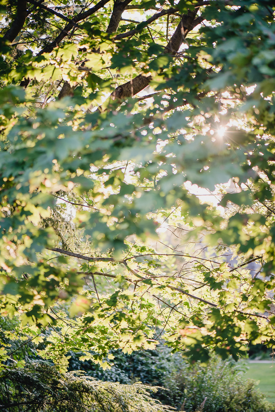 Heritage Park Farmington Engagement Photos18