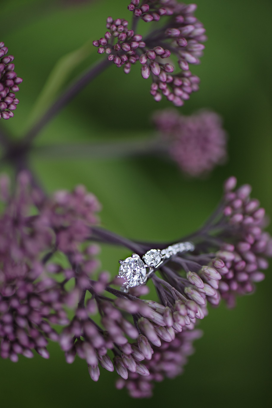 Heritage Park Farmington Engagement Photos19