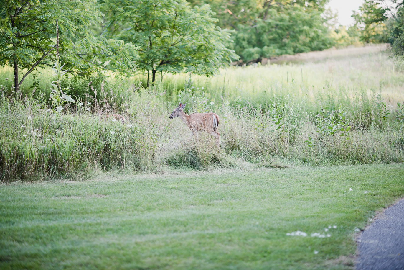 Heritage Park Farmington Engagement Photos5