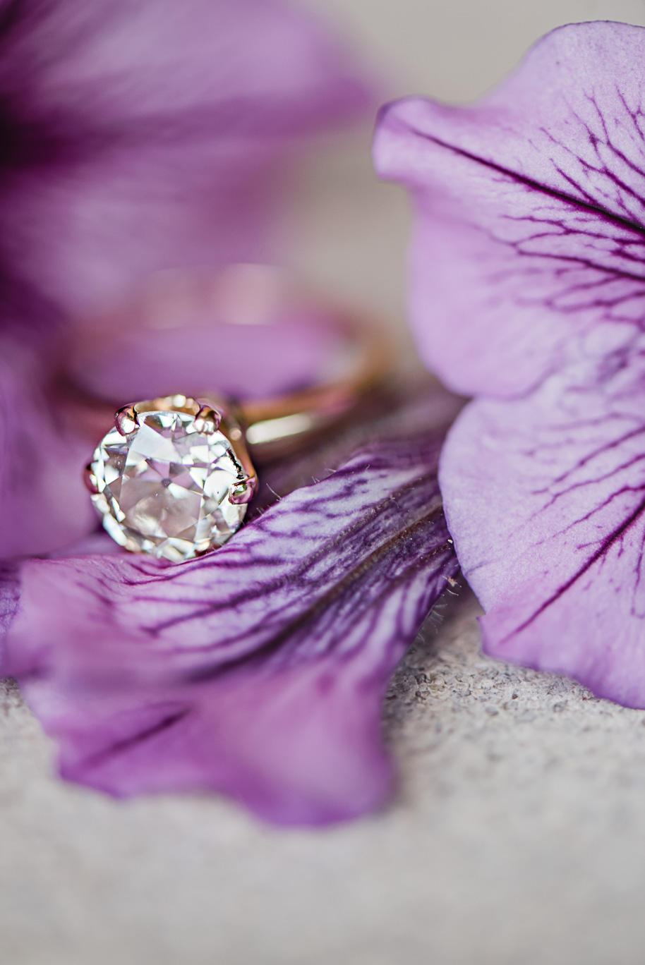 Fall Stony Creek Metro Park Engagement-13