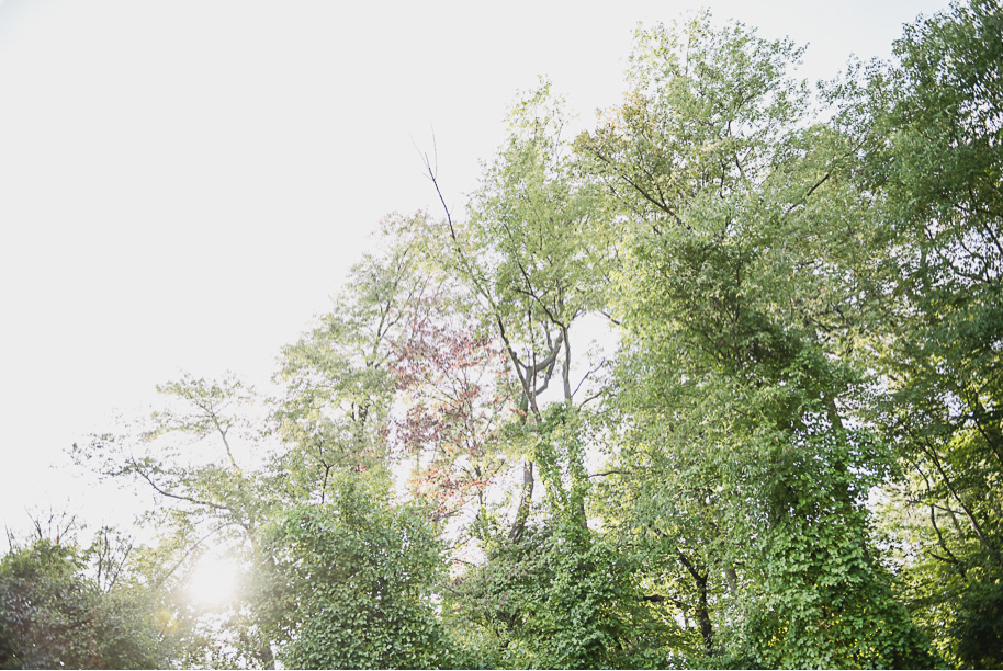 Fall Stony Creek Metro Park Engagement-19