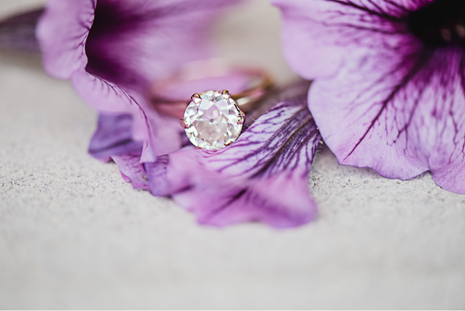 Fall Stony Creek Metro Park Engagement-25