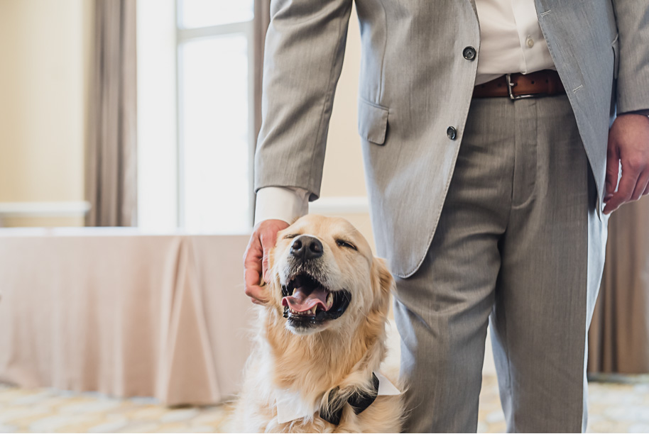 I absolutely love it when couples have their dogs or puppies as part of their wedding day! Coral and Gray College for Creative Studies Summer Wedding in Detroit, Michigan by Kari Dawson Photography.