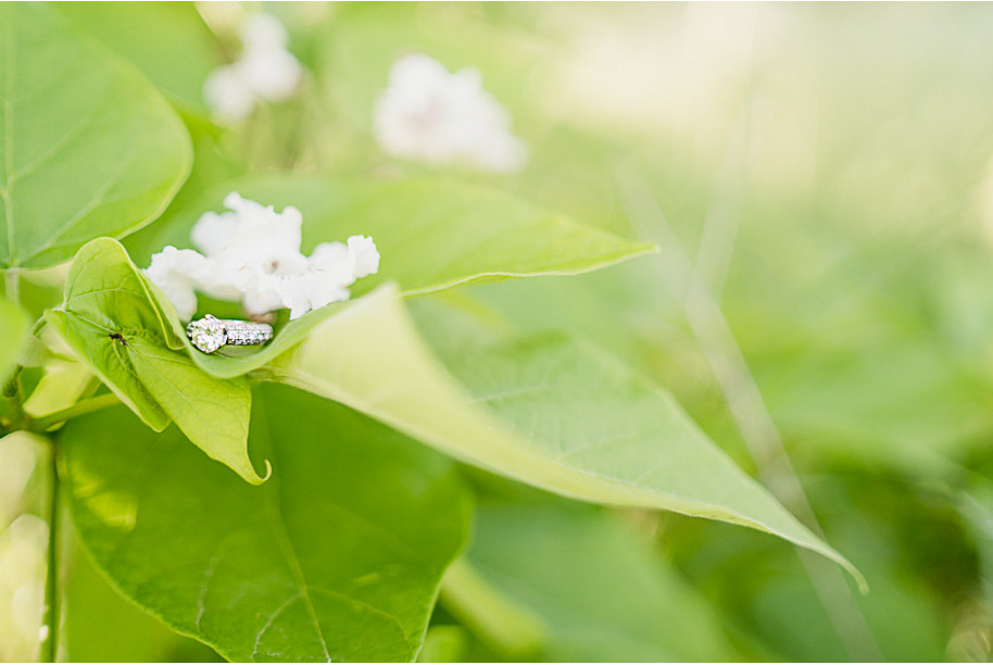 Stony Creek Metro Park engagement photos in Washington, Michigan provided by Kari Dawson Photography.