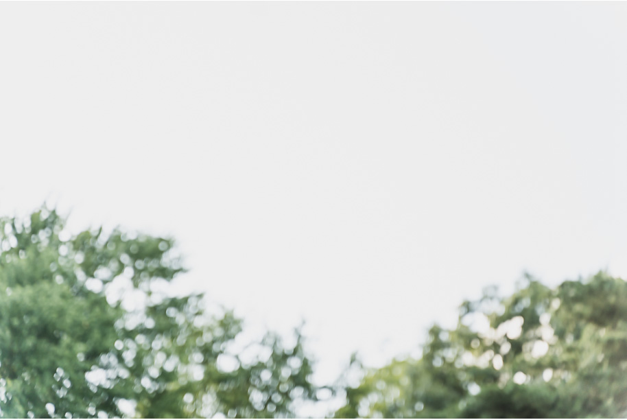 Stony Creek Metro Park engagement photos in Washington, Michigan provided by Kari Dawson Photography.