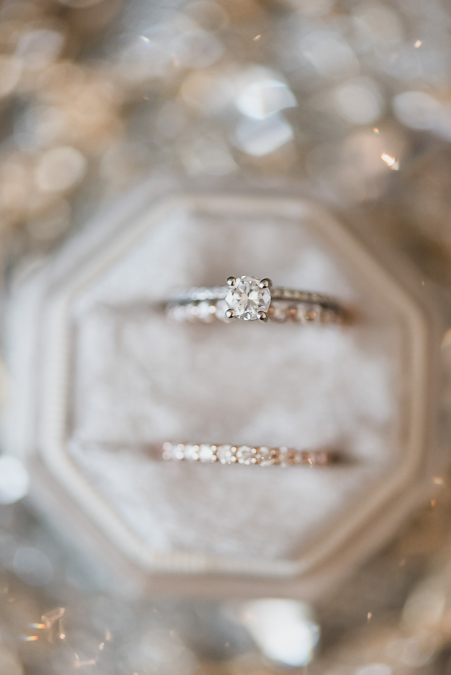A winter Planterra garden wedding in Michigan by Kari Dawson, a Detroit wedding photographer for shy couples that want to look natural and their best.