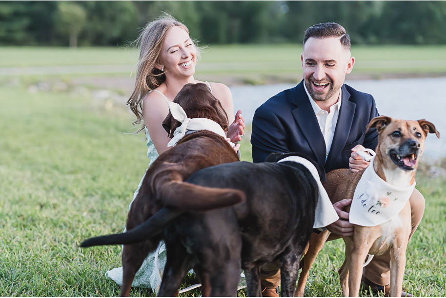 Summer Stony Creek engagement photos with dogs in Washington, Michigan provided by Kari Dawson, top-rated Michigan wedding photographer.