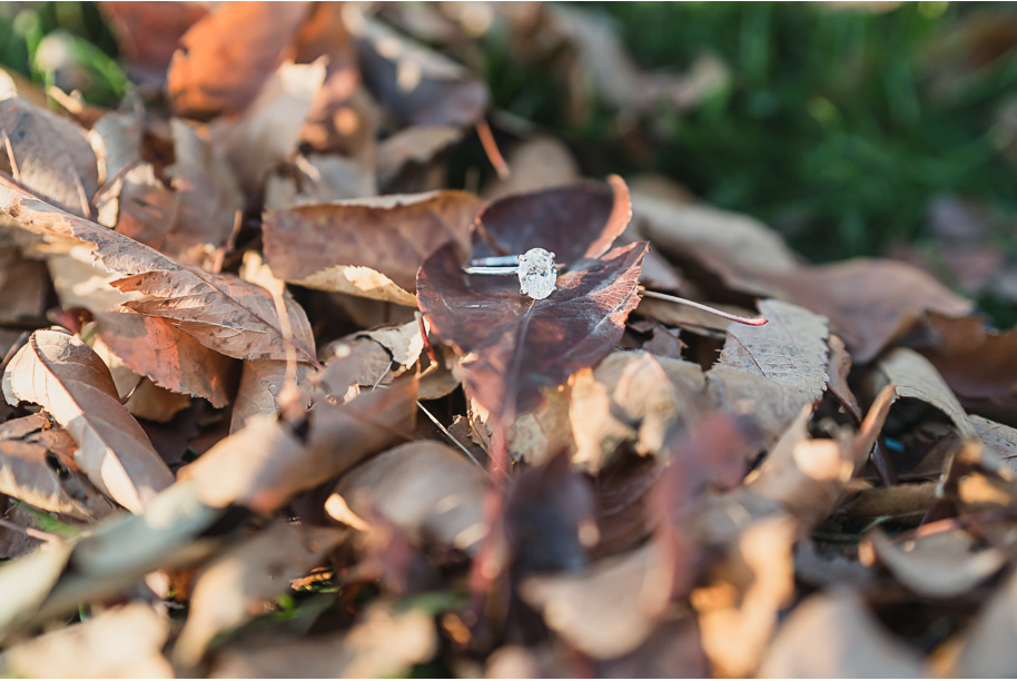 A spotlight on that gorgeous engagement ring for this couple at the DIA during their downtown Detroit engagement photos by Kari Dawson