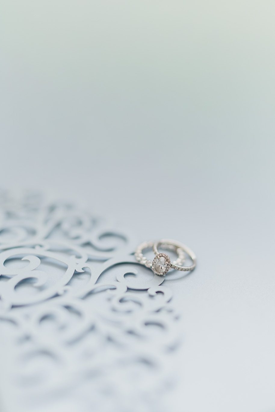 A romantic and elegant Petruzzello wedding in Rochester, Michigan provided by Kari Dawson, top-rated Rochester wedding photographer, and her team. 