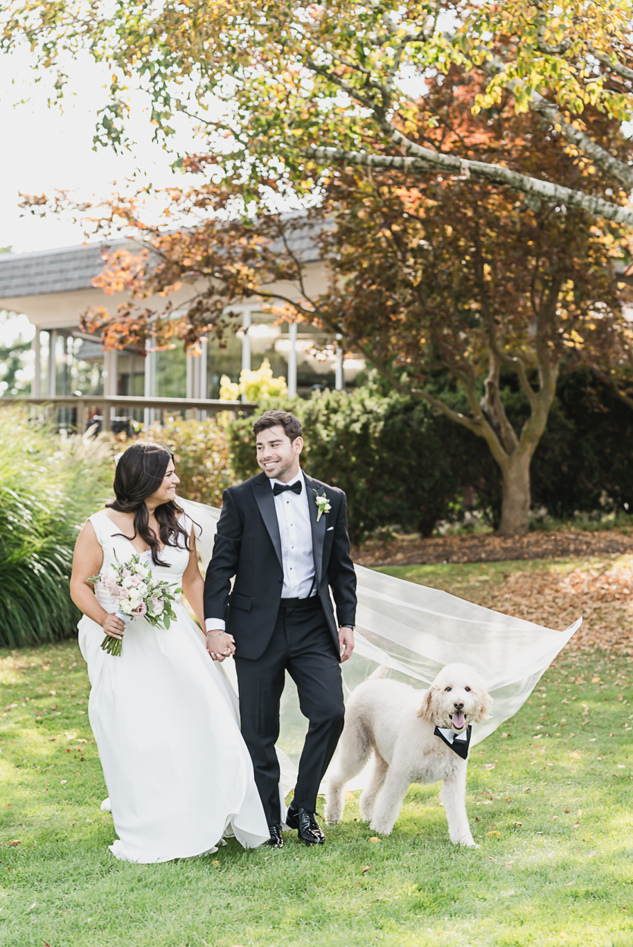 The couple walks hand in hand with their doodle wearing a bow tie, adding personality and charm to their Bay Pointe Golf Club wedding portraits.