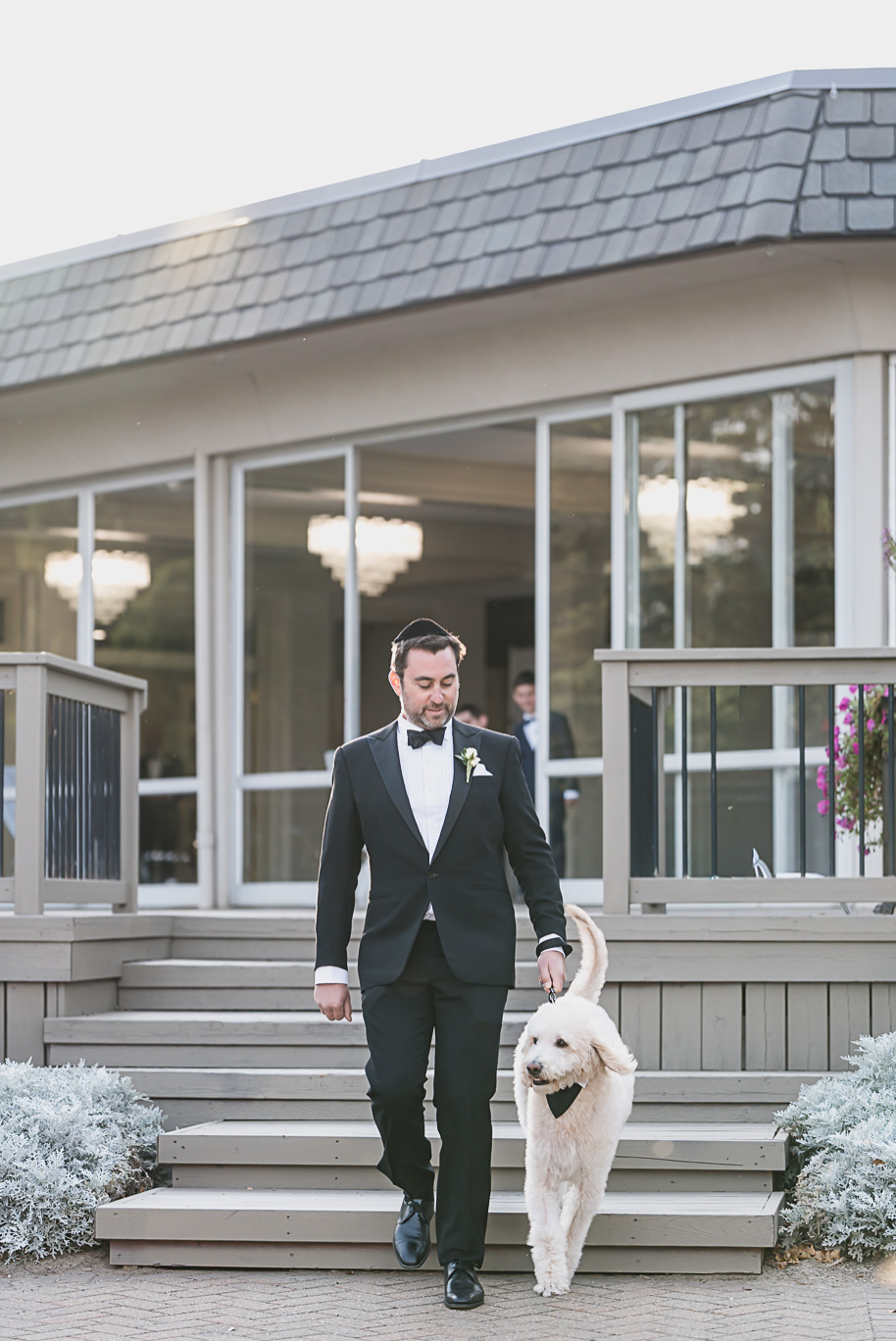 Groom in black tuxedo and kippah walks down the steps with his goldendoodle wearing a bow tie during a black-tie Jewish wedding at Bay Pointe Golf Club in Michigan.