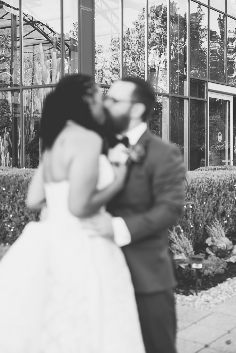 An elegant fall Planterra Conservatory wedding captured by Kari Dawson + Co in Bloomfield Hills, Michigan. This Euro-inspired greenhouse celebration featured lush floral design, golden candlelight, and heartfelt vows beneath the glass canopy. Perfect inspiration for couples dreaming of a romantic Michigan wedding surrounded by nature and timeless architecture.
