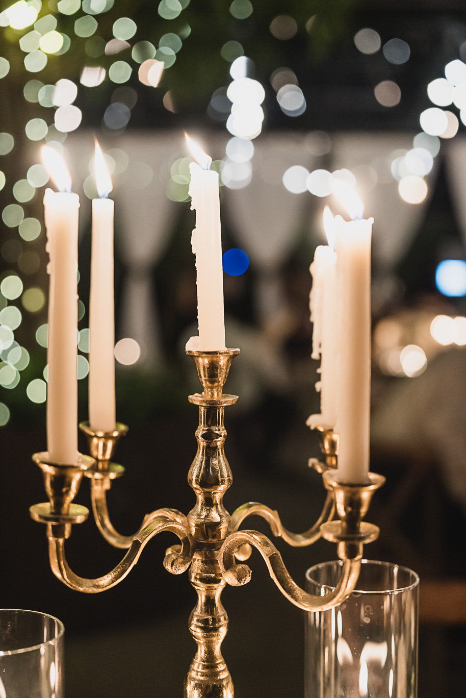 An elegant fall Planterra Conservatory wedding captured by Kari Dawson + Co in Bloomfield Hills, Michigan. This Euro-inspired greenhouse celebration featured lush floral design, golden candlelight, and heartfelt vows beneath the glass canopy. Perfect inspiration for couples dreaming of a romantic Michigan wedding surrounded by nature and timeless architecture.