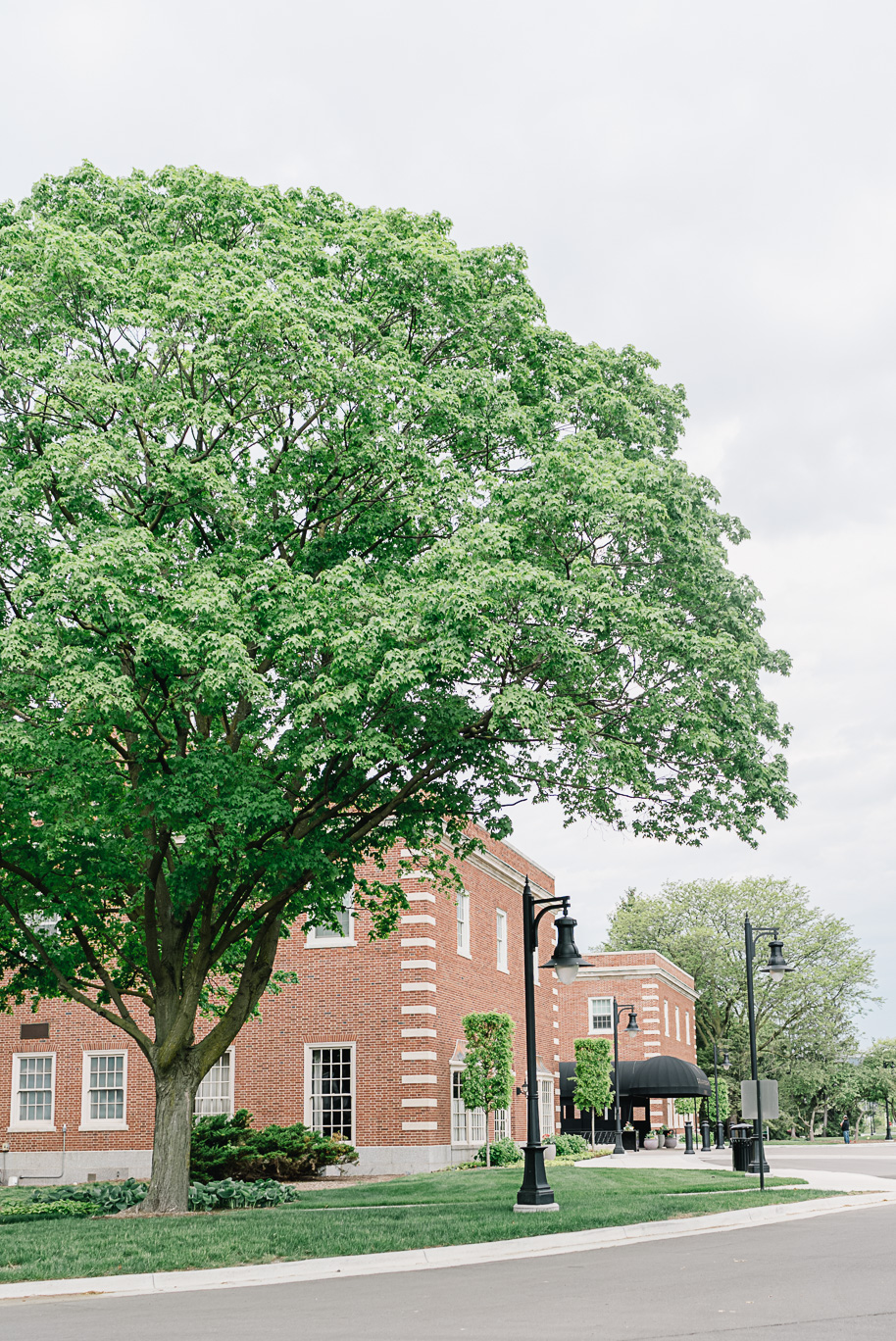 Linda and Alex prepared for their luxury arab and asian Henry Ford Museum wedding at the newly renovated Dearborn Inn. 